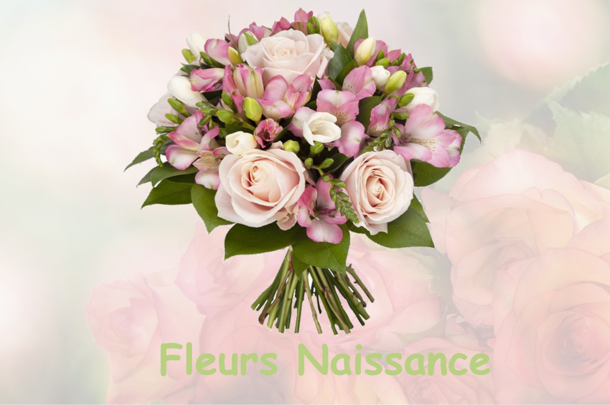 fleurs naissance LA-ROCHE-SUR-GRANE